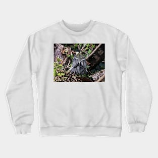 THE PANASONIC FZ 200 PAR OKAIO CREATION Crewneck Sweatshirt